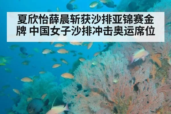 夏欣怡薛晨斩获沙排亚锦赛金牌 中国女子沙排冲击奥运席位